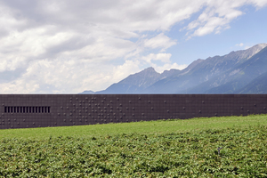  Die Fassade ist an der höchsten Stelle sieben Meter hoch. Das Sammlungs- und Forschungszentrum der Tiroler Landesmuseen in Hall erhielt einen der dritten Preise des Wettbewerbs Geplant+Ausgeführt 2018.  