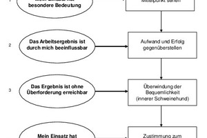  Entscheidungsprozess des Mitarbeiters für besonderes Engagement. 