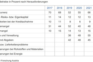  2022 sind 82% der Betriebe durch Preissteigerungen bei Rohstoffen und Materialien beeinträchtigt, 51% durch die Preiserhöhung von Energie.  