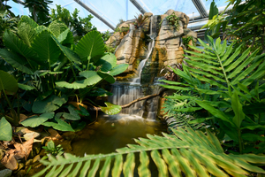  Der Wasserfall trägt zum natürlichen Tropengefühl in der Meranti-Halle bei.  