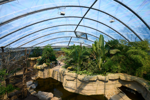  Die Innenbepflanzung der Meranti-Halle wurde mit dem Botanischen Garten der Uni Münster geplant. 
