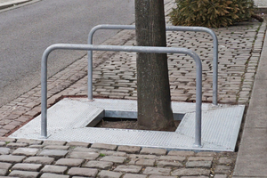  In der Stadt Magdeburg schützen die Roste bereits wertvollen Baumbestand. 