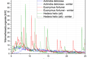  Abb. 4) Vergleich der Wärmefreisetzungsrate von Actinidia deliciosa (Großfrüchtige Kiwi), Euonymus fortunei ( Weißer Spindelstrauch) und Hedera helix (Gemeiner Efeu) im Sommer und Winter. 