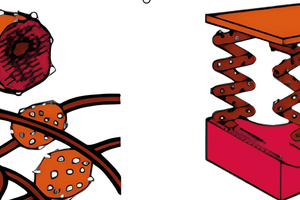  Scotch-Brite Vliesstrukturen mit einer Verbindung von synthetischen Fasern und Schleifkörnern erweisen sich beim Schleifen als sehr flexibel. 