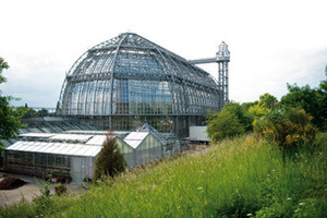  Das Tropenhaus im Botanischen garten Berlin-Dahlem ist ein eindrucksvolles Bauwerk mit hohen Ansprüchen an die Isolierglastechnik 