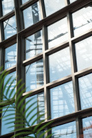  Das Tropenhaus im Botanischen garten Berlin-Dahlem ist ein eindrucksvolles Bauwerk mit hohen Ansprüchen an die Isolierglastechnik
&nbsp; 